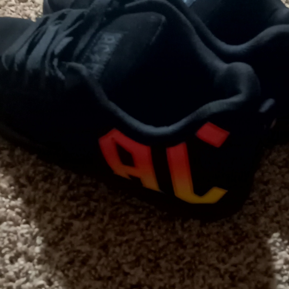 AC/DC branded DC shoes